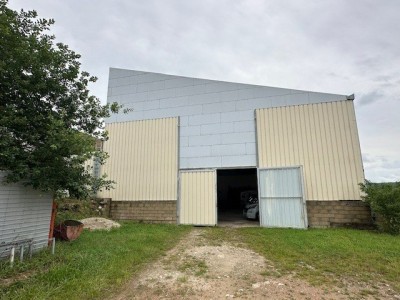 BATIMENT INDUSTRIEL A VENDRE - ST JEAN DE TREZY - 750 m2 - 350000€ 