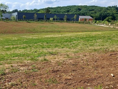 TERRAIN A VENDRE - CHATILLON LE DUC - 8835 m2 - 724 470 &euro; 