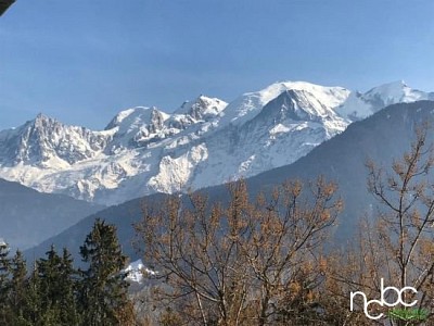 BUREAU A VENDRE - PASSY - 2000 m2 - 1435000 € 