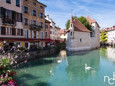 LOCAL COMMERCIAL A VENDRE - ANNECY - 573 m2 - Prix : nous consulter