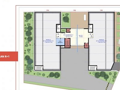 BUREAU A LOUER - LYON 7EME ARRONDISSEMENT - 2760 m2 divisibles  partir de 177 m2 - 185 € HC/m<sup>2</sup>/an