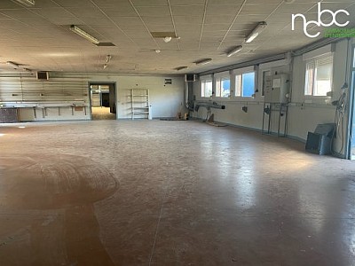 LOCAL D ACTIVITE A VENDRE - BESSENAY - 1323 m2 - 850000 € 