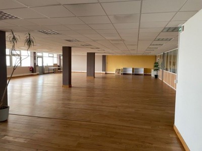 ENSEMBLE IMMOBILIER A VOCATION D ACTIVITE A VENDRE - DIJON - 7000 m2 - 4743000 € 