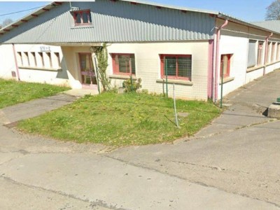 LOCAL D ACTIVITE A VENDRE - PIREY - 1400 m2 - 1230000 € 