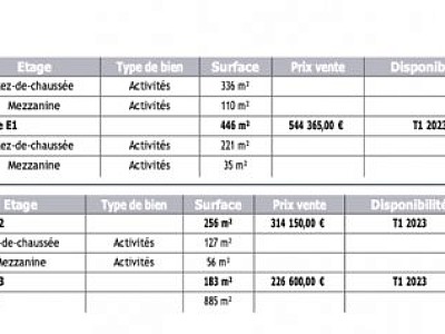 LOCAL D ACTIVITE A VENDRE - TARARE - 2261 m2 divisibles à partir de 169 m2 - 88,83 € /m<sup>2</sup>