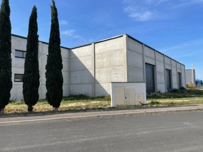 LOCAL D ACTIVITE A VENDRE - TORREILLES - 1500 m2 - 1200000 € 