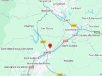 TERRAIN A VENDRE - BLANZY - 13996 m2 divisibles à partir de 1860 m2 - 27,29 € /m<sup>2</sup>